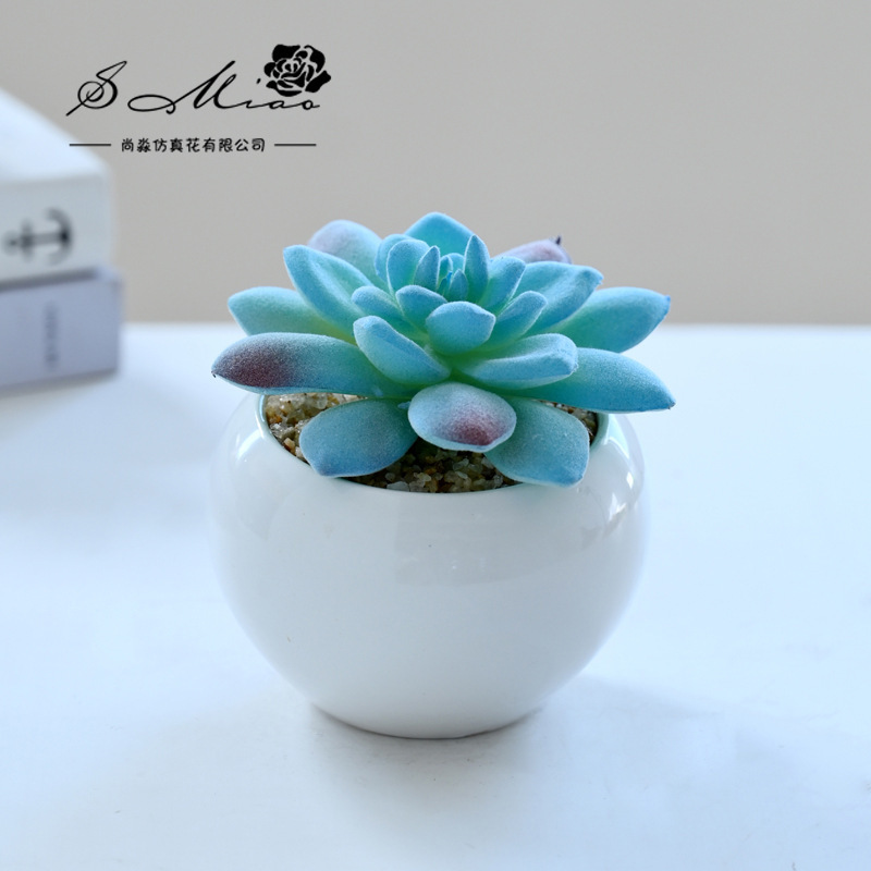 SKU_06