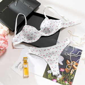 Sexy Hot Heart Print Firm Control Bra <strong>Set</strong> <strong>Underwear</strong> New in <strong>Matching</strong> <strong>Sets</strong> Sensual Adult Costume Eco-Friendly Women's Lingerie - Product Image 6