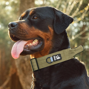 <span class=keywords><strong>Collar</strong></span> de perro personalizado con placa de identificación ajustable de nailon resistente, número personalizado, <span class=keywords><strong>collar</strong></span> de identificación grabado en la hebilla de placa de Metal - Product Image 6