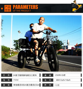 <span class=keywords><strong>Tricycle</strong></span> électrique à pneus gras de 24 pouces 750W, <span class=keywords><strong>tricycle</strong></span> cargo à <span class=keywords><strong>assistance</strong></span> au pédalage à double siège pour adultes et promenades en famille - Product Image 4