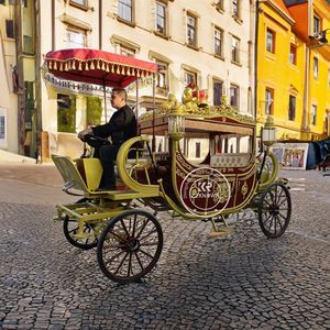 Carruaje Eléctrico sin Caballos 2025, Carruaje Real, Carruaje de Princesa, Carruaje Real Clásico - Product Image 4