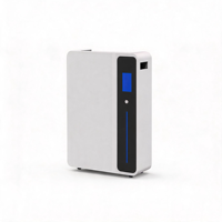 Système de stockage d'énergie domestique mural CAN, batterie au lithium LiFePO4 100Ah intelligente avancée pour usage domestique et solaire