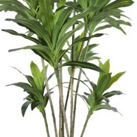 Nordique ins vent simulation plantes vertes brazilwood plante en pot bonsaï intérieur salon sol décoration aménagement paysager Dracaena