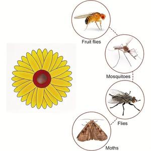 Vente en gros Pièges à mouches pour l'intérieur de la maison Maison Tueur de mouches <span class=keywords><strong>Lady</strong></span> Bug Pièges collants en papier - Product Image 3