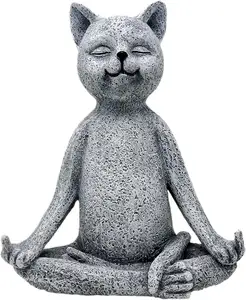 Middle Finger meditation yoga Cat