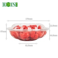 Groothandel 16 18 32 oz harde fruitsalade transparante PET pp plastic soepkom met koepelvormig deksel