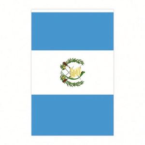 Custom Guatemala 10 Meters Bunting 30 <b>Flags</b> Guatemalan Rectangle Triangle String <b>Flags</b> for Election Events - Product Image 2