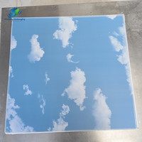 Plaque de plâtre stratifié PVC avec face en papier 603*1213mm 7.5mm 8mm 9mm pour revêtement intérieur et décoration, plaque de plâtre sèche