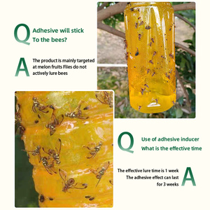 Trampa Adhesiva con Atrayente para Moscas de la Fruta de 650 ml - Product Image 2