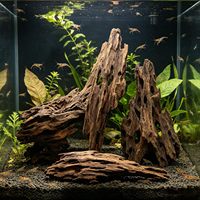 PKY Bois flotté multi-tailles, bois flotté en forme de nid d'abeille, branche de bois dur pour aquarium, ornement en gros pour magasin
