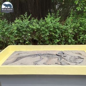 Zigong-dinosaurio de tamaño Original de alta calidad, Dnosaur animatrónico de tamaño Original, para excavación de fósil - Product Image 5