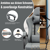 Chaise de luxe pour PC Allemagne Logo brodé Special X Mark Design Grey Racing Stuhl Design Gamer Chair Gaming Stuhl avec repose-pieds