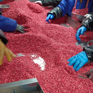 Iqf Quả mâm xôi đông lạnh toàn Bộ trái cây đông lạnh - Product Image 4