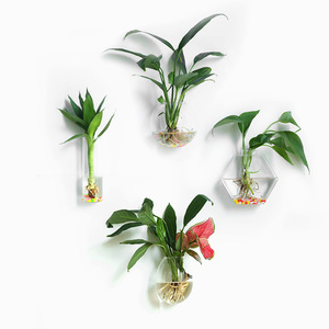 <span class=keywords><strong>Vasi</strong></span> in <span class=keywords><strong>Vetro</strong></span> <span class=keywords><strong>per</strong></span> <span class=keywords><strong>Piante</strong></span> Acquatiche Sospese - Product Image 5