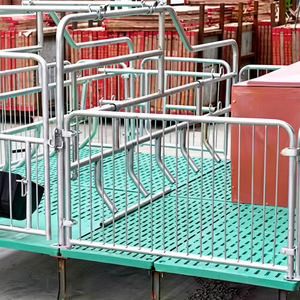 Cage à truies intégrée 2,2*3,6m Élimine le broyage des porcelets dans les unités de maternité intégrées - Product Image 1