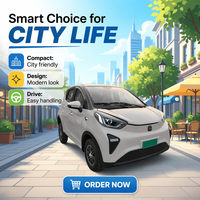 Offre Spéciale Nouvelle Énergie Véhicule Électrique Mini SUV Quatre Roues Motrices pour Adultes Propulsion Arrière 50kW Autonomie 100km Fabriqué en Chine à Prix Abordable