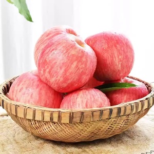 <span class=keywords><strong>Pommes</strong></span> Fuji du Shandong chinoises fraîches, de couleur rouge, au goût sucré, 8-10 cm, fraîchement cueillies au meilleur prix - Product Image 5