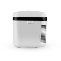 Petit réfrigérateur populaire de 18l, Mini réfrigérateur pour boîte de refroidissement de médicaments