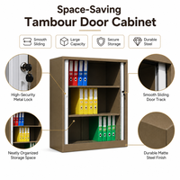 Armoire de classement à portes coulissantes en acier peu encombrante, basse, verrouillable, avec volet roulant, pour bureau
