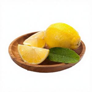 Palillos de Madera Desechables con Logotipo Personalizado en Varios Tamaños y Formas para Sándwiches, Postres, Bebidas y Cócteles - Product Image 4