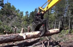 Fabrikant Hydraulische Duimgraafmachine Hydraulische Duim Voor Graafmachine Hydraulische Duim Te Koop - Product Image 5