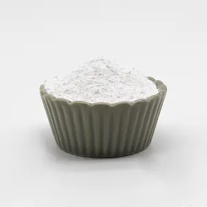 Low Price Sodium Benzoate E211 Food Grade Sodium Benzoate Powder
