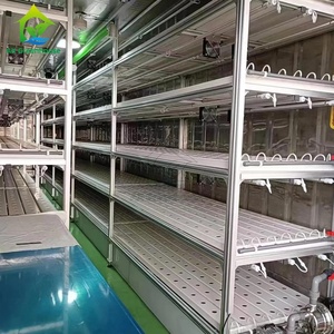 نظام زراعة ذكي آلي ، نظام زراعة بدون تربة عمودي متعدد الطبقات للمزارع NFT ، نظام زراعة بدون تربة عمودي - Product Image 5