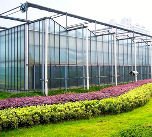 Estructura de Invernadero de Vidrio Multi-Span Tipo Venlo Personalizada de Skyplant para Agricultura Industrial y Profesional - Product Image 1