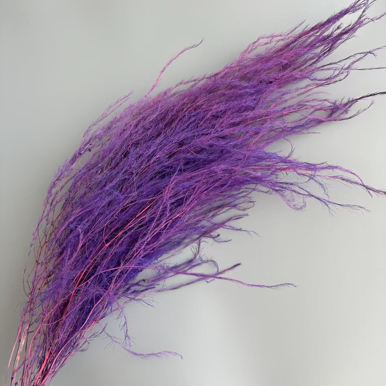 Violet foncé