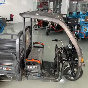 1300W中国電気貨物三輪車3輪ダンプトライクバイク大人用電気三輪車用ビッグドライラッドエレクトロ