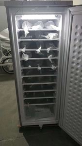 Congélateur vertical domestique 198L à énergie solaire DC, vente directe usine - Product Image 4