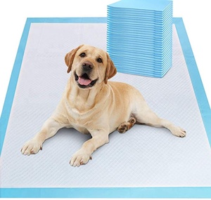 Nhanh Chóng Làm Khô Chó Con Dùng Một Lần Huấn Luyện Thú Cưng Chó Poop Nước Tiểu Pad - Product Image 1