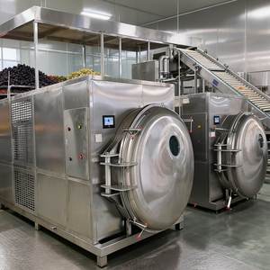 Factory Use <b>Freeze</b> Dryer GMP Standard Lyophilizer for Large Batch Production - Product Image 1