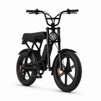 Vélo électrique tout-terrain robuste 750W 48V 15AH avec pneus larges de 20 pouces, haute performance, polyvalent pour adultes, idéal pour la conduite en milieu campagnard