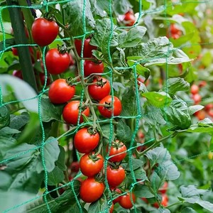 Plant Trellis Pergolas, Heavy-Duty Polyester Grow <b>Net</b>, Garden Trellis <b>Netting</b> With Square <b>Mesh</b> for Climbing Plants, Vegetables, - Product Image 5