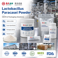 Lactobacillus Paracasei en Polvo, Fermentación Controlada, Cultivo Probiótico Liofilizado para la Formulación de Suplementos Alimenticios