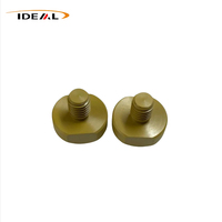 Pièces Torlon CNC Douille Torlon PAI Douille Torlon