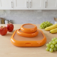 Ensemble de 3 mini-contenants de conservation alimentaire portables en plastique pour fruits et sauces