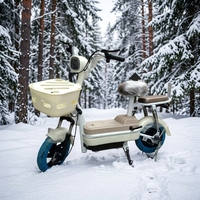 Vélo Électrique Compact 350W 48V 12Ah pour la Ville, Vitesse 35km/h, Roues 14 Pouces, avec Panier et Alarme - Vente en Gros