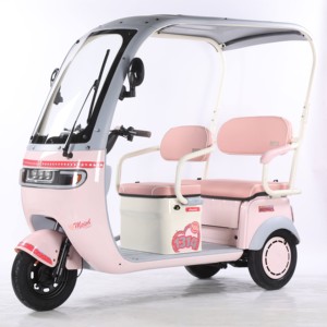 3 <b>Wheel</b> 60V 3 Speed Scooter Tricycle for 2 Adults Passenger Seat Home Roof - Product Image 5
