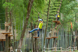 Dây Leo Núi Cây Ngoài Trời Khóa Thử Thách Phiêu Lưu Công Viên Cây Phiêu Lưu - Product Image 2