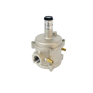 Regolatore di Pressione <span class=keywords><strong>Gas</strong></span> per Sistemi Industriali - Controllo Flusso Stabile, Compatibilità Multi-<span class=keywords><strong>Gas</strong></span> - Product Image 5