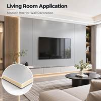 Panneau mural en cristal de carbone de 6 mm, imperméable, décoratif, revêtement mural intérieur pour la maison, l'hôtel, le bureau