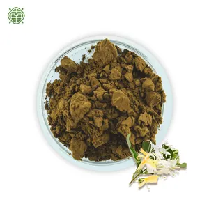 Nanqiao Source Factory OEM/ODM Quality Natural Plant Extract Honeysuckle Extract Powder