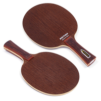 Lame de tennis de table, puissance brune, qualité professionnelle, raquette horizontale droite, tennis de table, plinthe