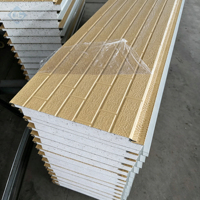 Paneles de Espuma para Paredes Exteriores Prefabricados Ligeros, Paneles Sándwich de Espuma Rígida EPS, Efecto de Alto Brillo para Exteriores de Edificios Modernos