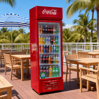 Réfrigérateur Vitré Simple Porte pour Vente en Gros, Refroidissement par Air et Compresseur, Réfrigérateur à Boissons pour Usage Commercial