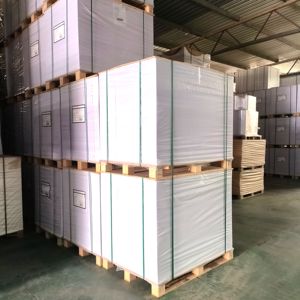 <span class=keywords><strong>Papier</strong></span> d'art pour dessins au trait, <span class=keywords><strong>papier</strong></span> vélin ultra-lisse, carton <span class=keywords><strong>Bristol</strong></span> 300 g/m² 650x910mm - Product Image 6