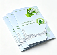 Brochure pliante professionnelle personnalisée, livret découpé sur mesure, manuel de produit d'entreprise, affiche pliable, couverture souple en papier