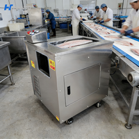 Machine de transformation de filets de poisson professionnelle à haute efficacité, coupeuse automatique de bonne qualité